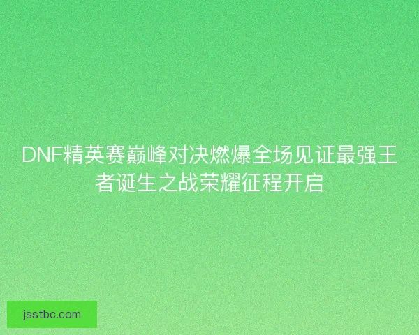 DNF精英赛巅峰对决燃爆全场见证最强王者诞生之战荣耀征程开启